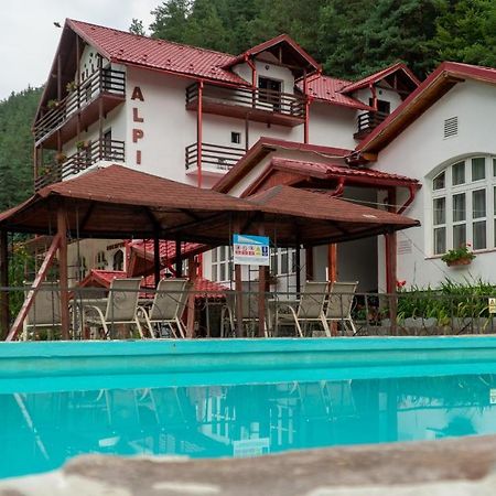 Pensiunea Alpin Paltinis Luaran gambar