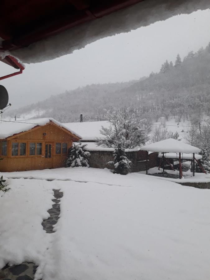 Pensiunea Alpin Paltinis Luaran gambar
