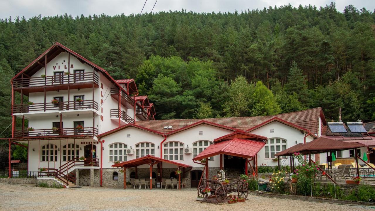 Pensiunea Alpin Paltinis Luaran gambar