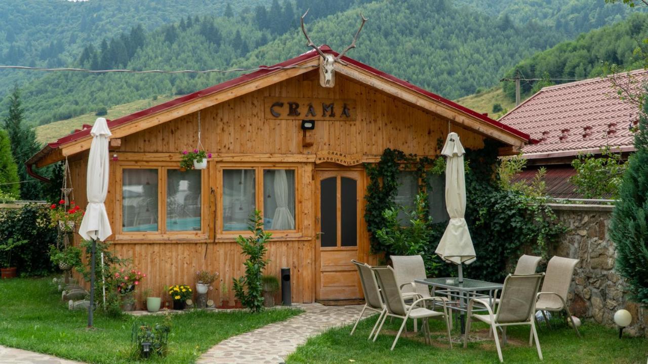 Pensiunea Alpin Paltinis Luaran gambar