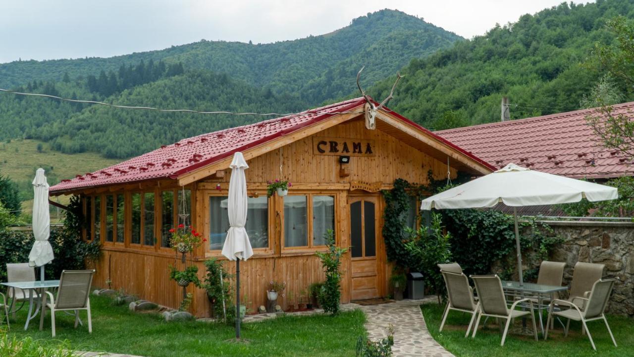 Pensiunea Alpin Paltinis Luaran gambar
