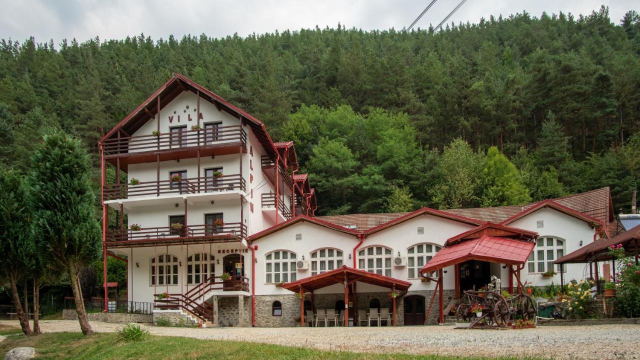 Pensiunea Alpin Paltinis Luaran gambar
